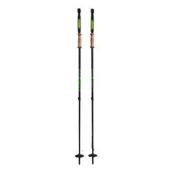 Armada Carbon Adjustable Pole
